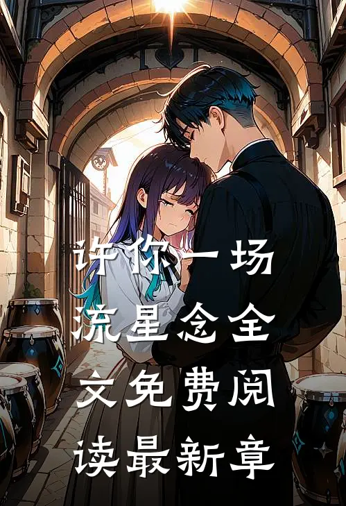 许你一场流星念全文免费阅读最新章