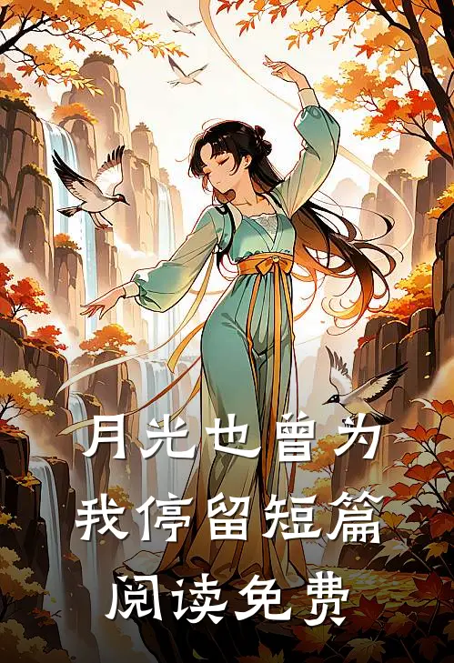 月光也曾为我停留短篇阅读免费
