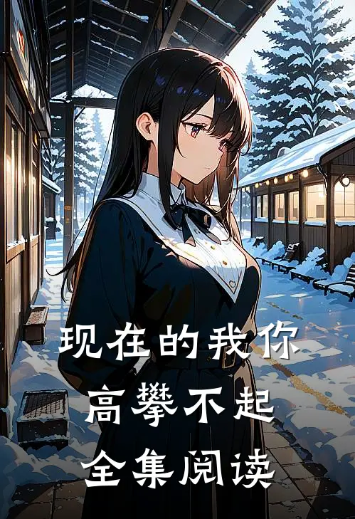 现在的我你高攀不起全集阅读