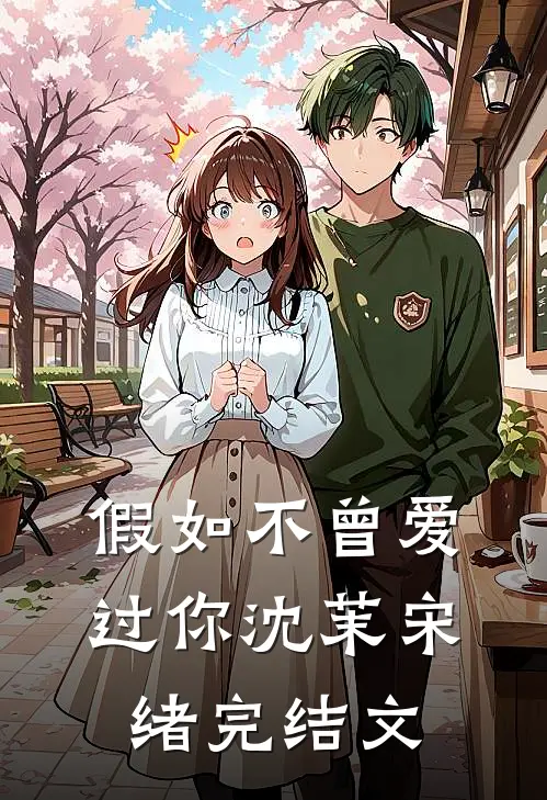 假如不曾爱过你沈茉宋绪完结文