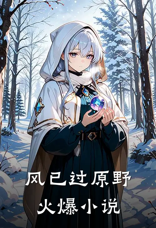 风已过原野火爆小说