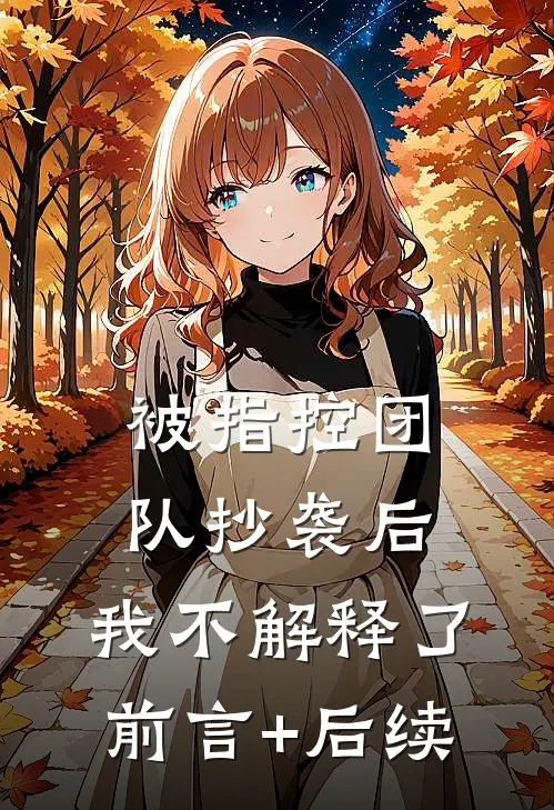 被指控团队抄袭后，我不解释了前言+后续