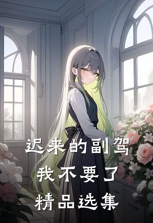 迟来的副驾，我不要了精品选集