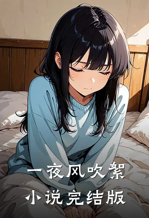 一夜风吹絮小说完结版