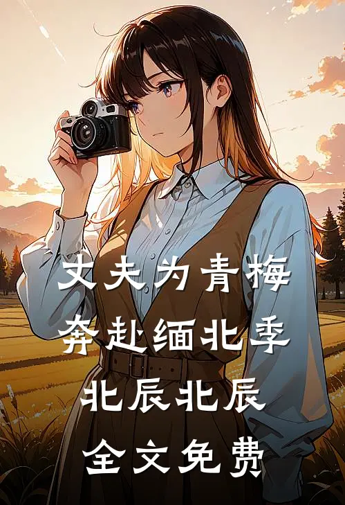 丈夫为青梅奔赴缅北季北辰北辰全文免费