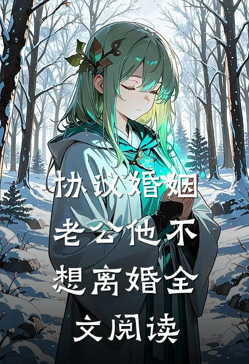 协议婚姻，老公他不想离婚全文阅读