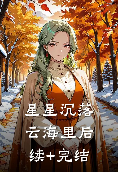 星星沉落云海里后续+完结
