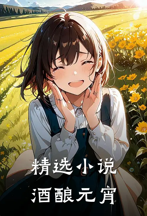 精选小说酒酿元宵