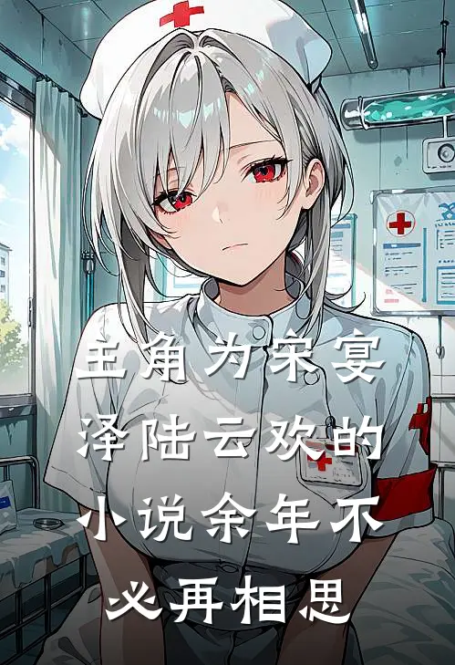 主角为宋宴泽陆云欢的小说余年不必再相思