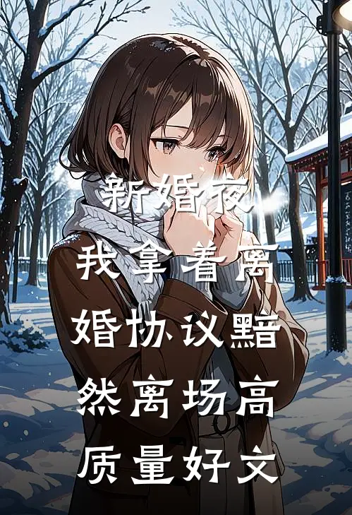 新婚夜，我拿着离婚协议黯然离场高质量好文