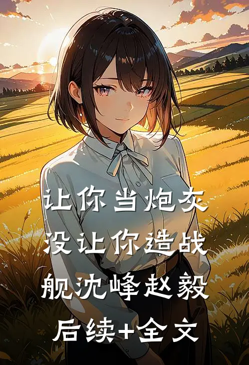 让你当炮灰，没让你造战舰沈峰赵毅后续+全文