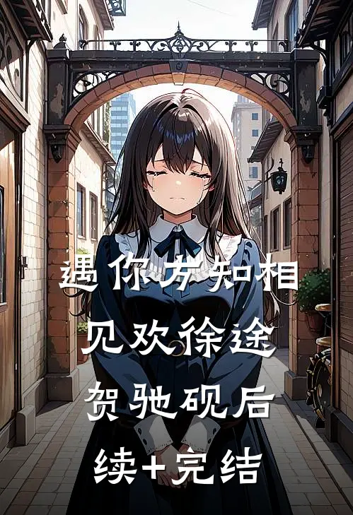 遇你方知相见欢徐途贺驰砚后续+完结