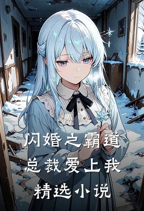闪婚之霸道总裁爱上我精选小说