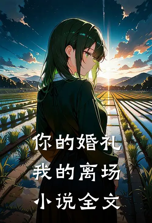 你的婚礼,我的离场全文阅读