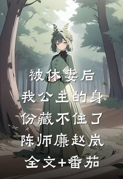 被休妻后，我公主的身份藏不住了陈师廉赵岚全文+番茄