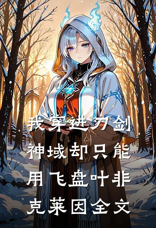 我穿进刀剑神域却只能用飞盘叶非克莱因全文