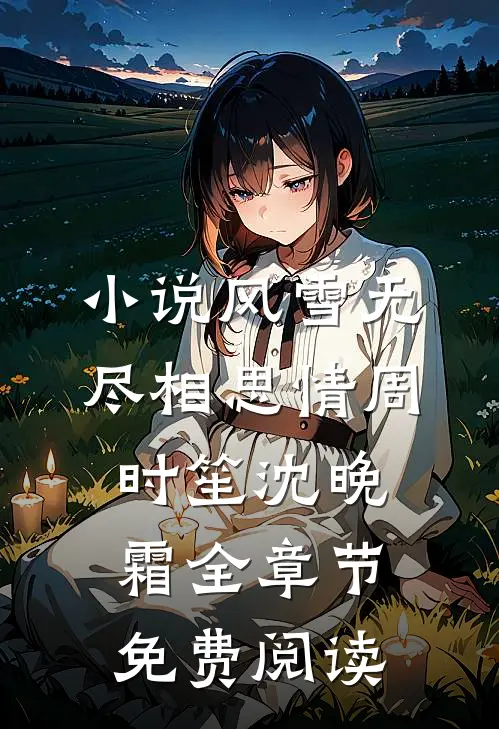 小说风雪无尽相思情周时笙沈晚霜全章节免费阅读