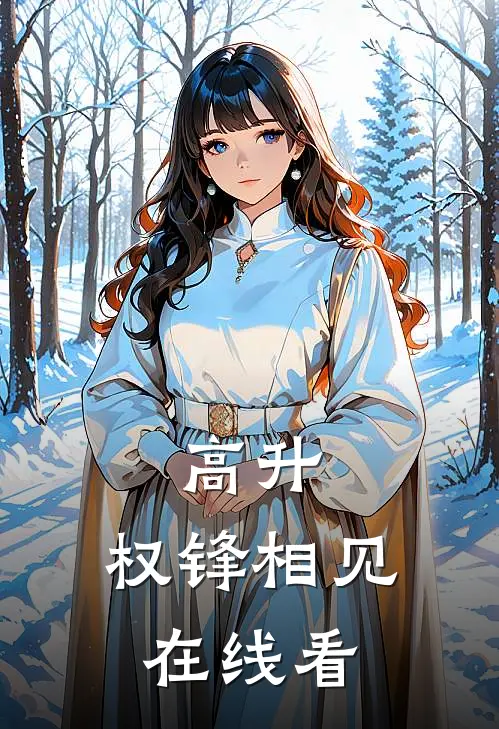 高升：权锋相见在线看