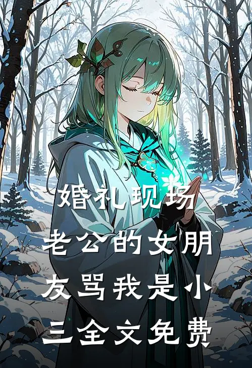 婚礼现场，老公的女朋友骂我是小三全文免费