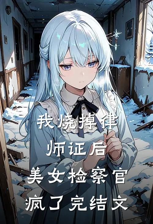 我烧掉律师证后，美女检察官疯了完结文