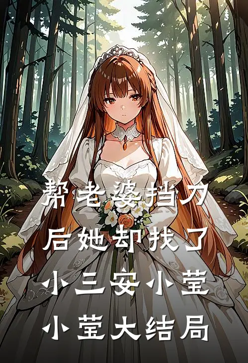 帮老婆挡刀后她却找了小三安小莹小莹大结局