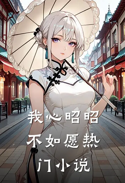 我心昭昭不如愿热门小说