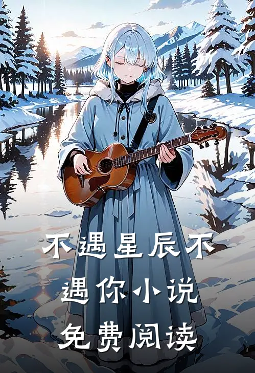 不遇星辰不遇你小说免费阅读