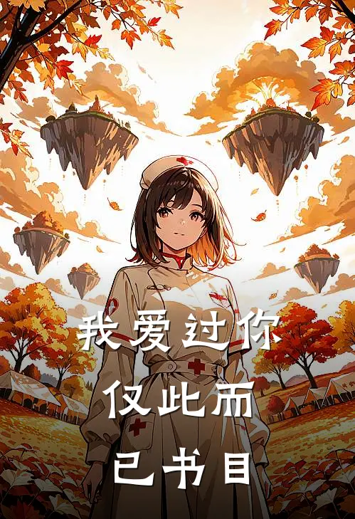 我爱过你，仅此而已书目