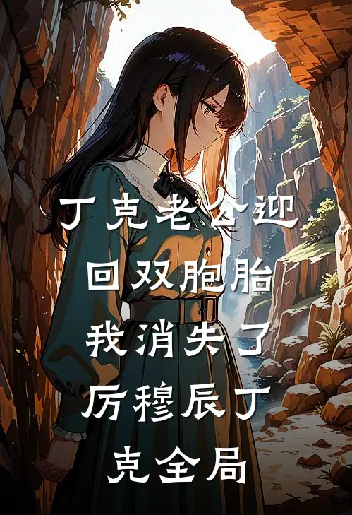 丁克老公迎回双胞胎，我消失了厉穆辰丁克全局