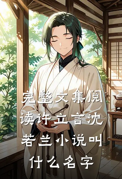 完整文集阅读许立言沈若兰小说叫什么名字