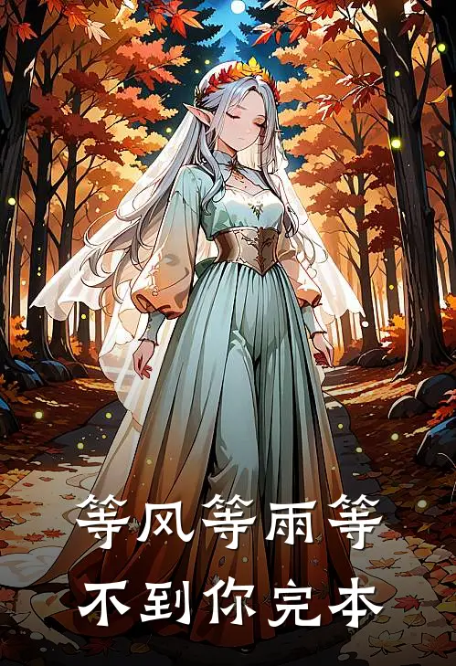 等风等雨等不到你完本