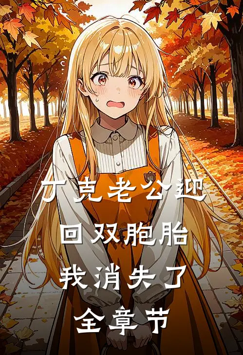 丁克老公迎回双胞胎，我消失了全章节